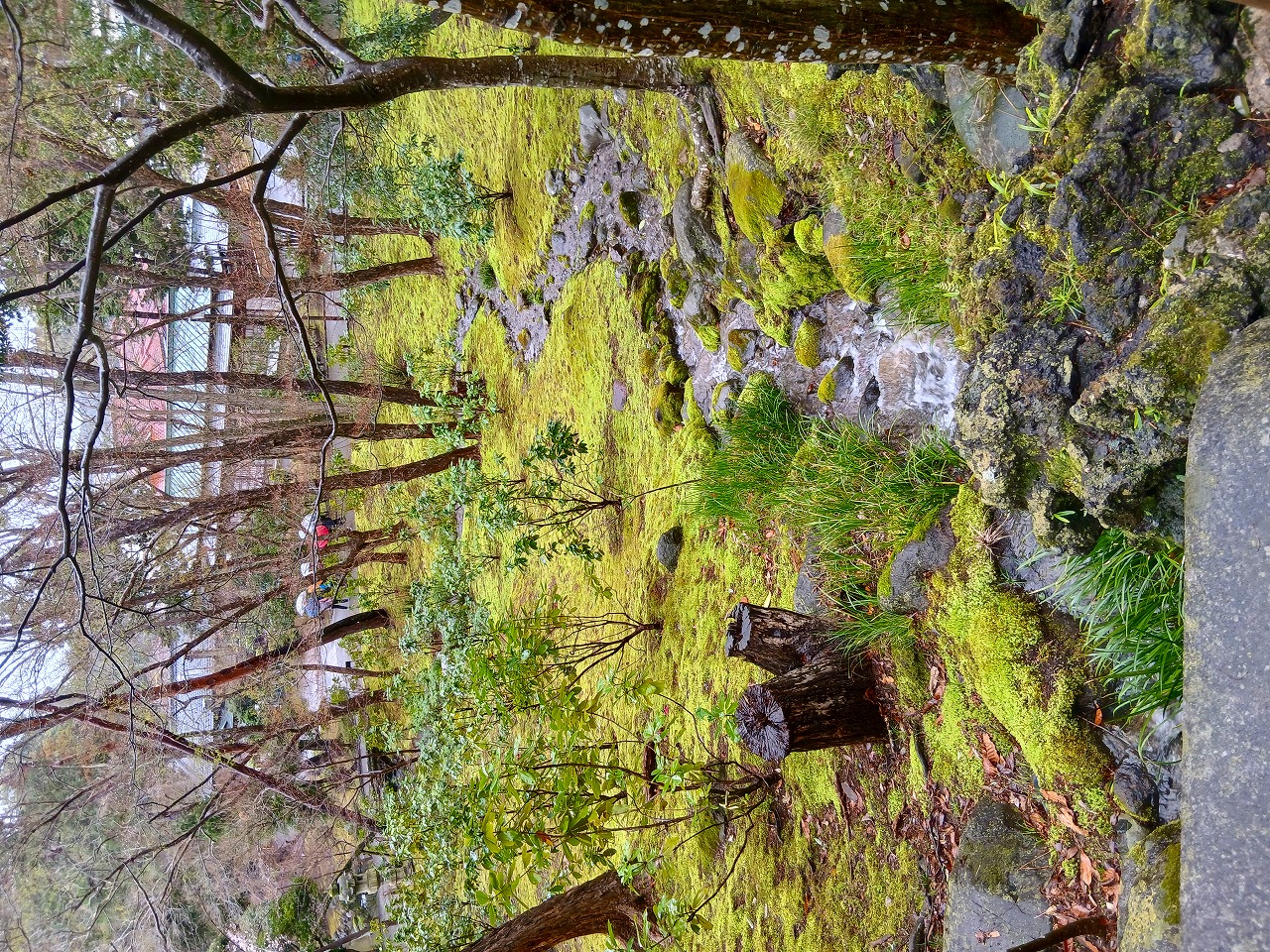 2026-03-26成田山新勝寺散策風景3