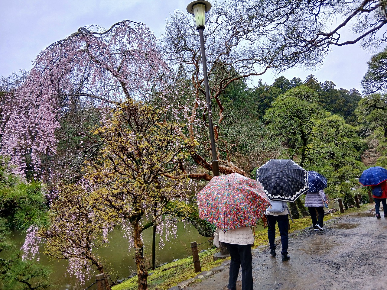 2026-03-26成田山新勝寺散策風景1